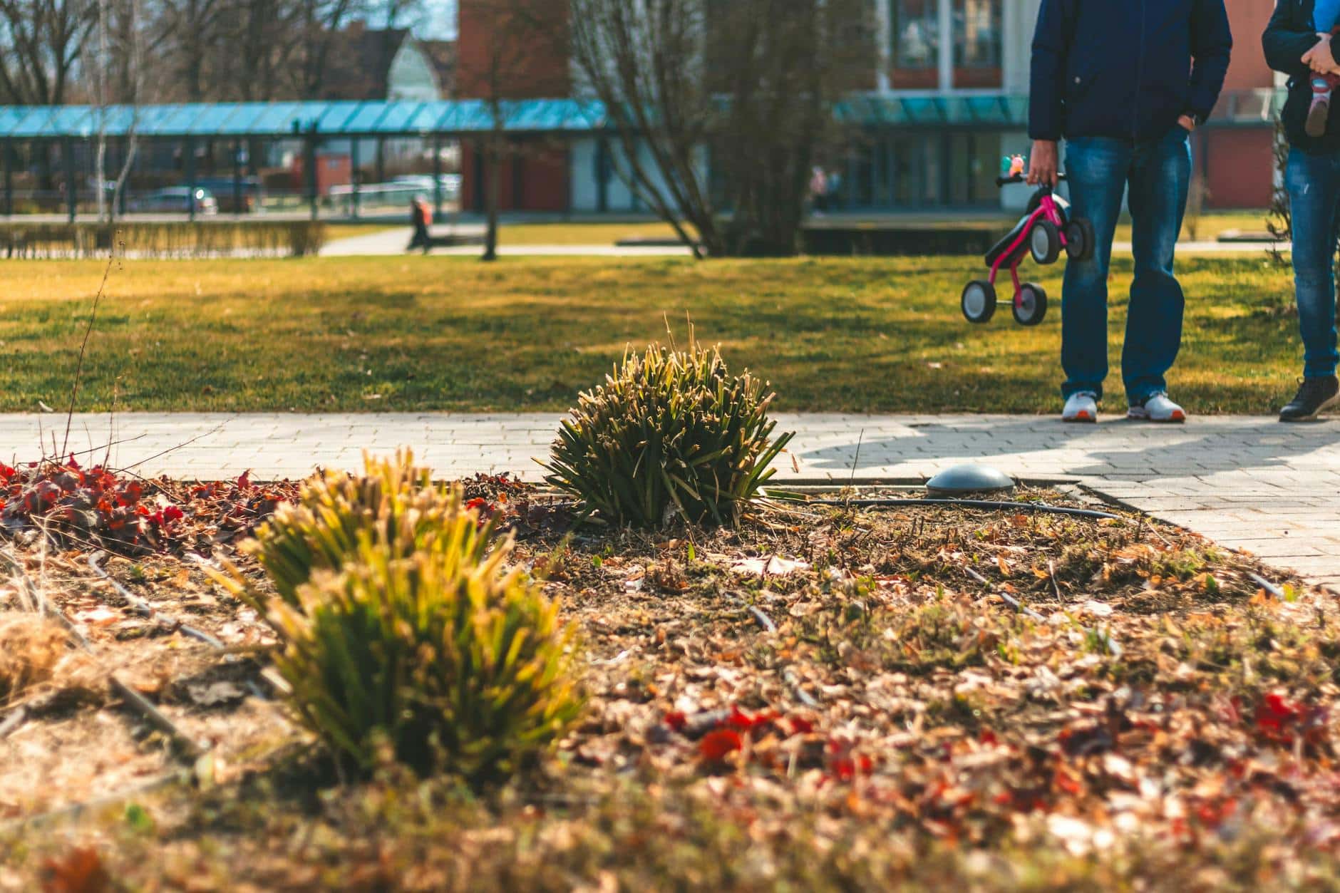 Lose Yourself in the City Center