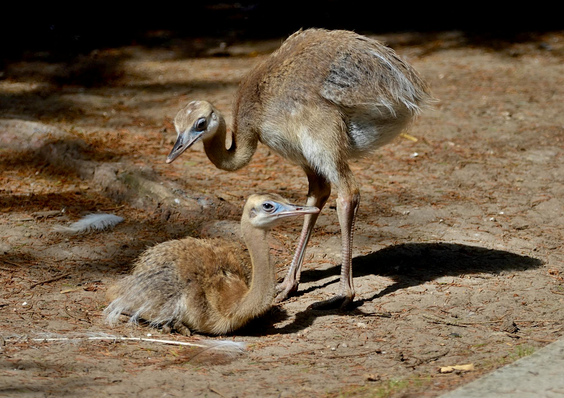 Explore the Natural Wonders Surrounding Carnot