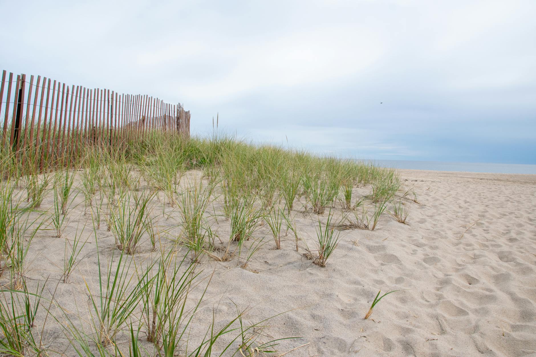 Lose Yourself in the City Centre