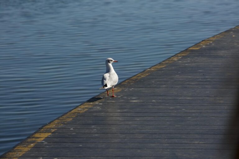 Cole Bay–Sint Maarten