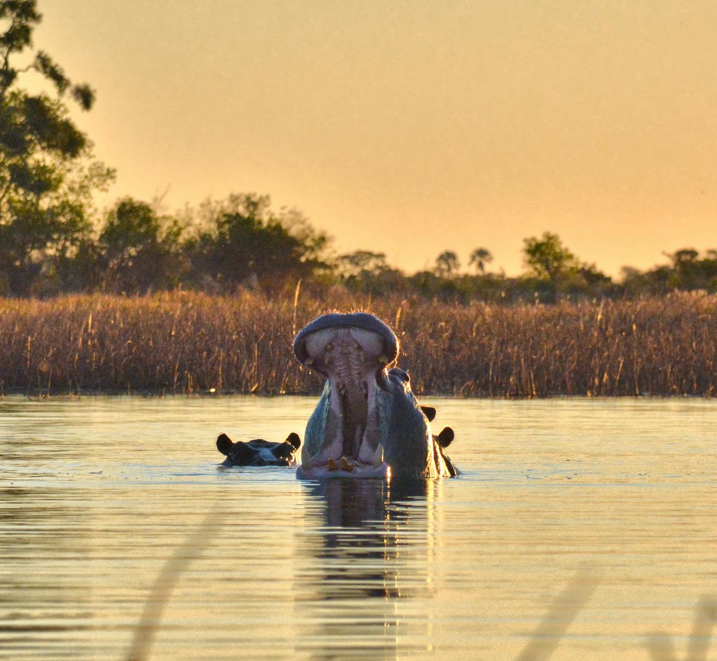 Francistown: A Hidden Gem in Botswana