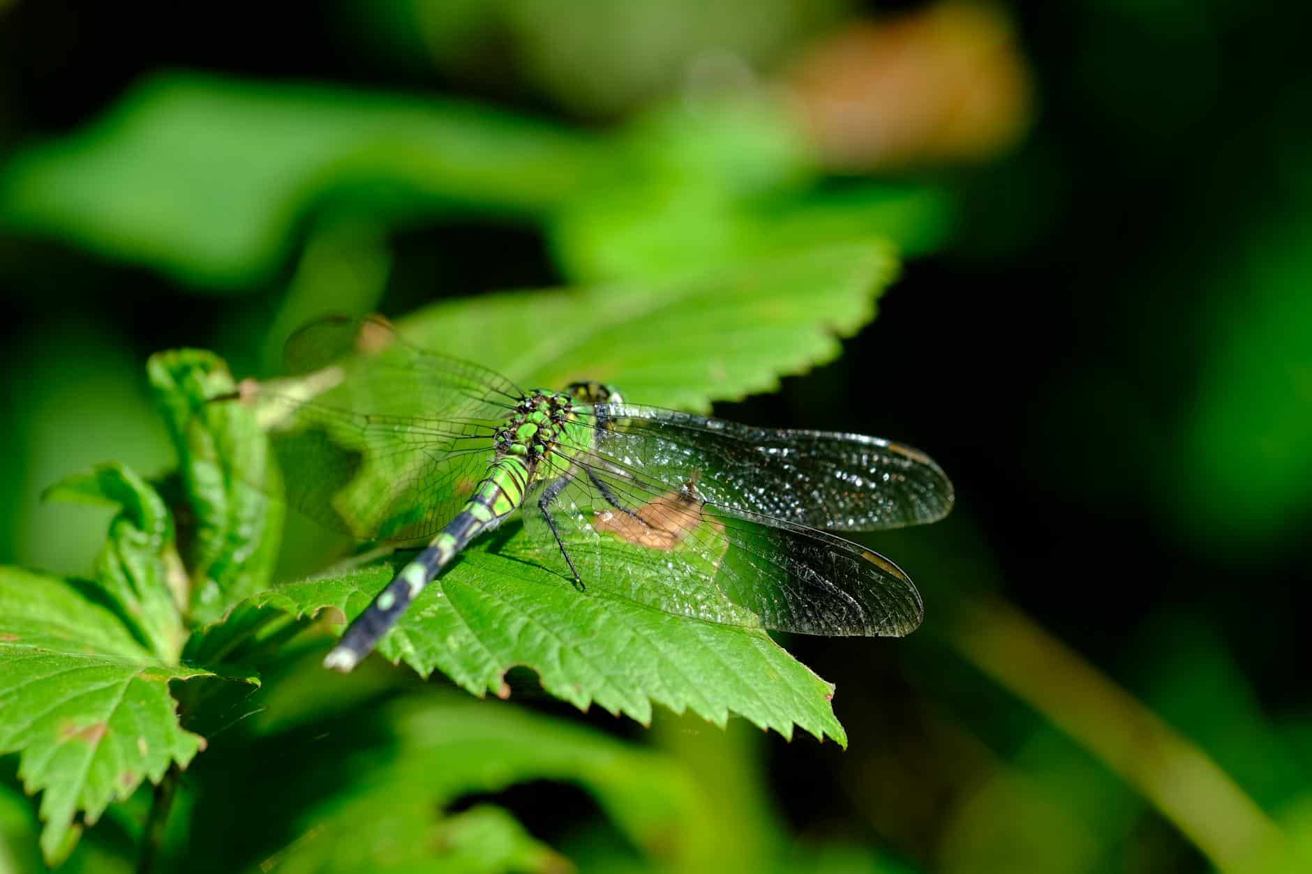 Lose Yourself in the City Centre