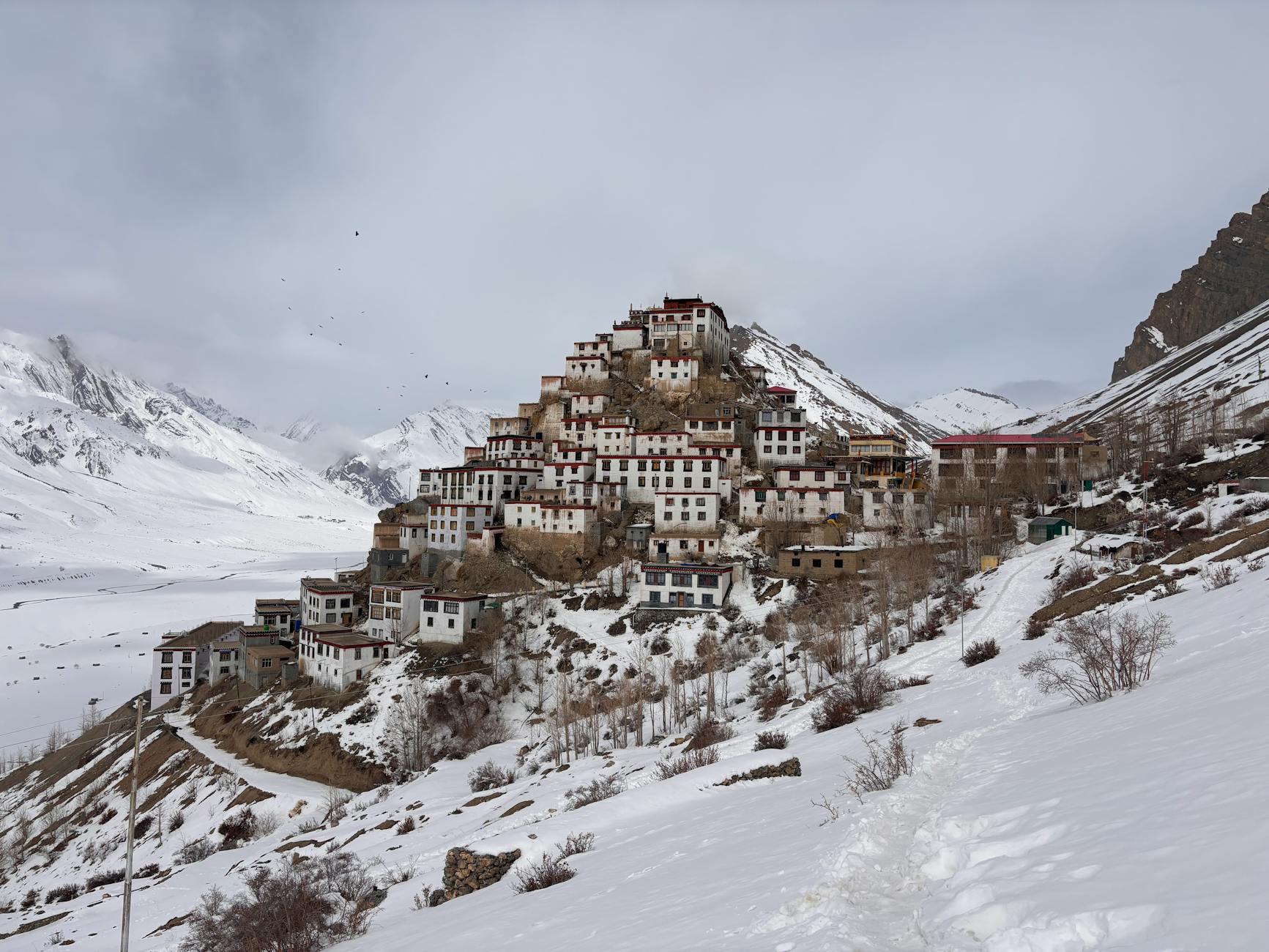 Geography and Diversity