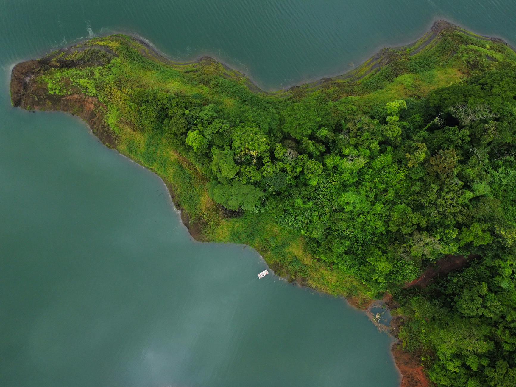 Lose Yourself in the City Center