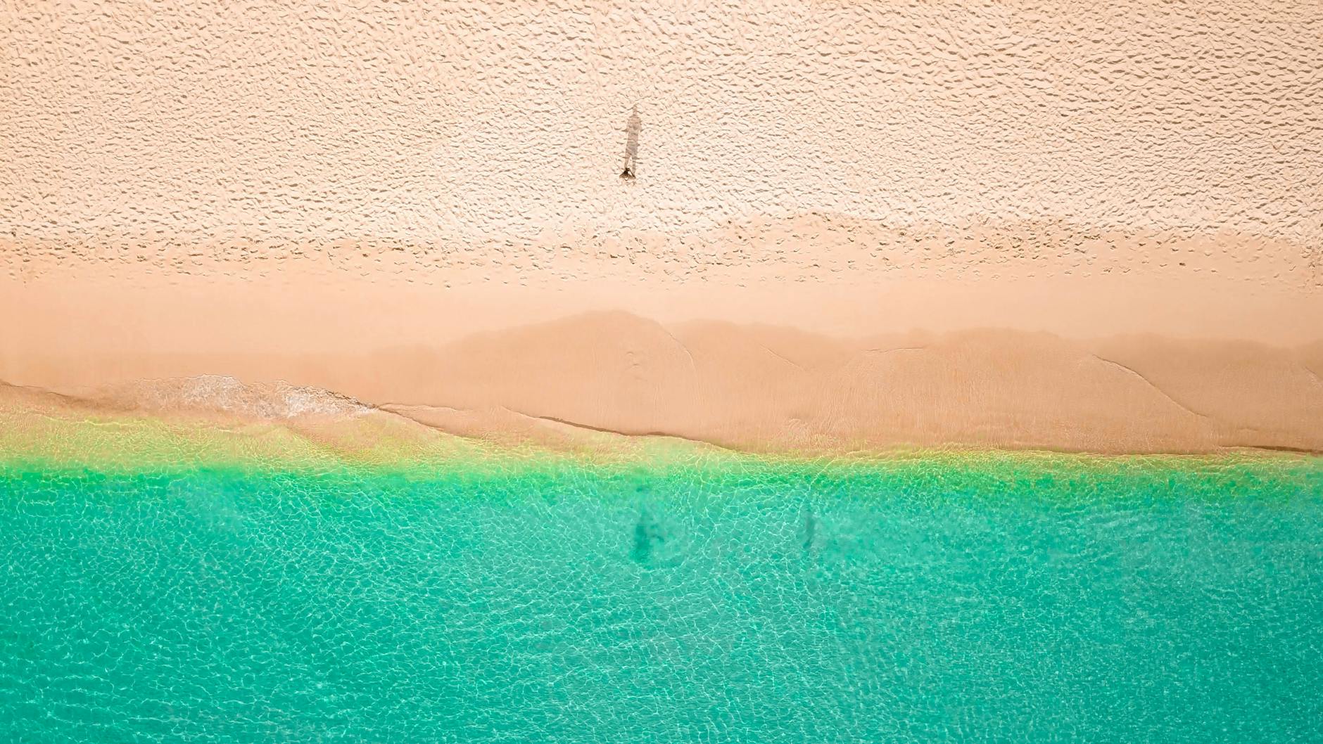 Lose Yourself in the City Center