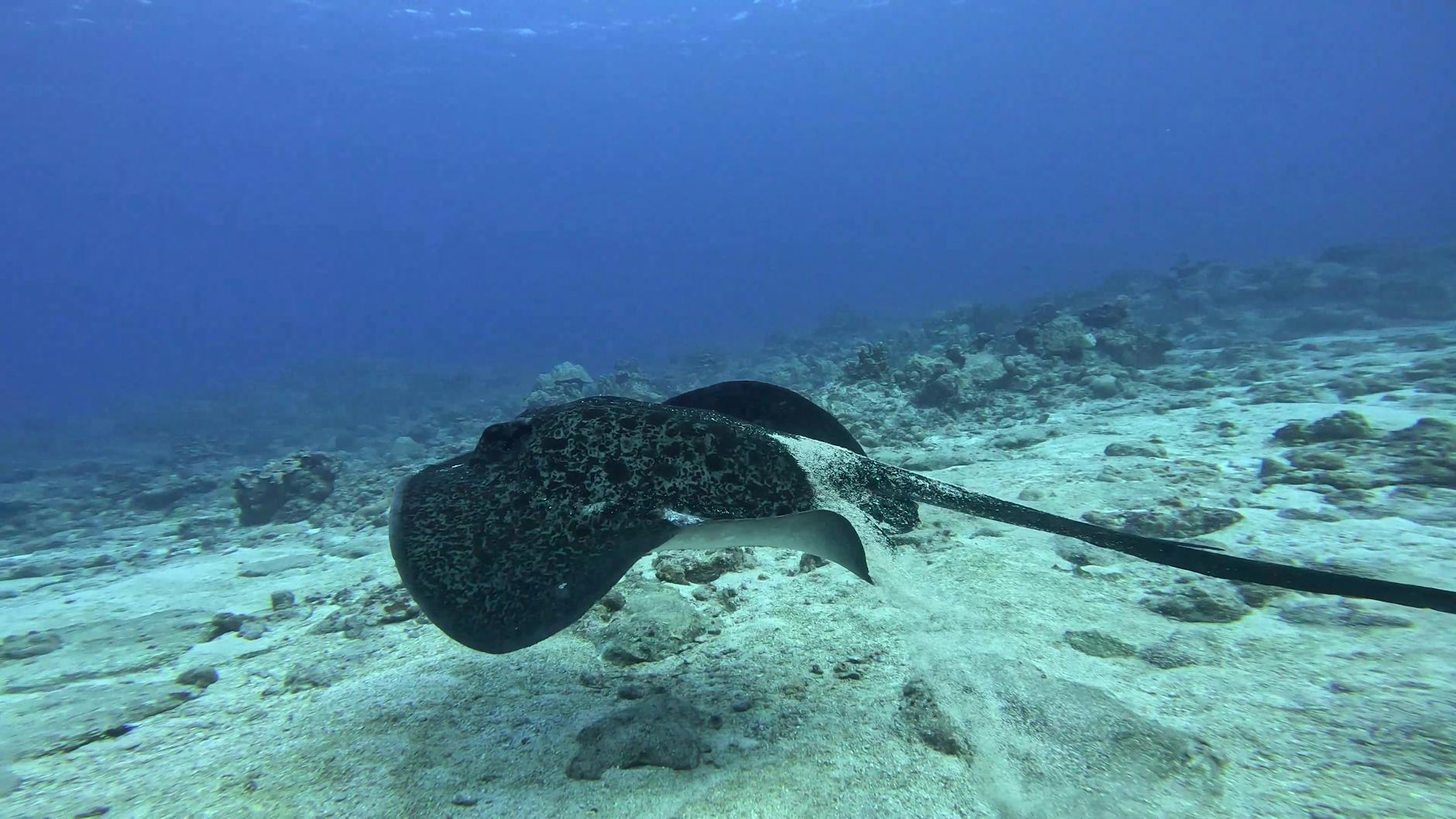 Saipan–Northern Mariana Islands