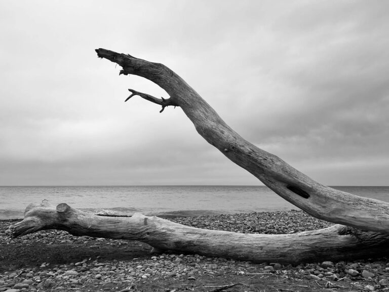 Sint Maarten: A Caribbean Gem Awaits