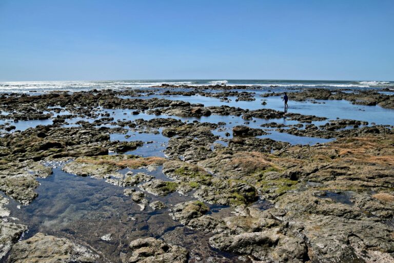 Tamarindo–Costa Rica