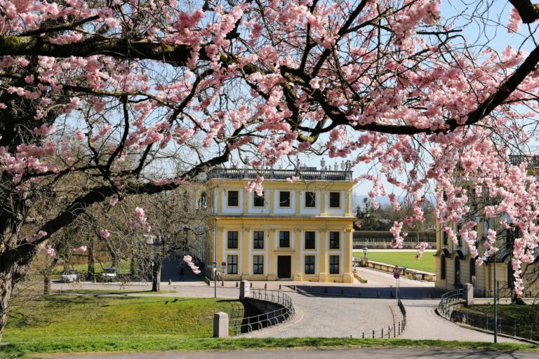 Visit Arorangi – Cook Islands