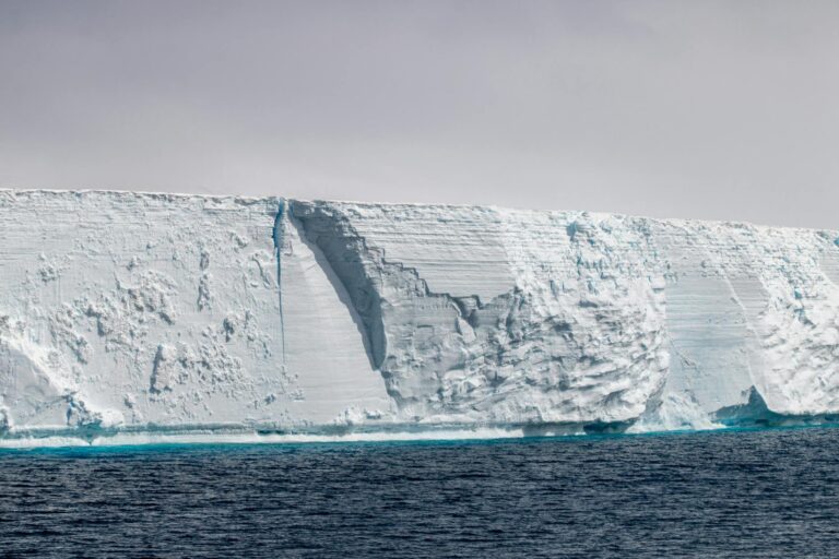 Visit Carlini Base – Argentina