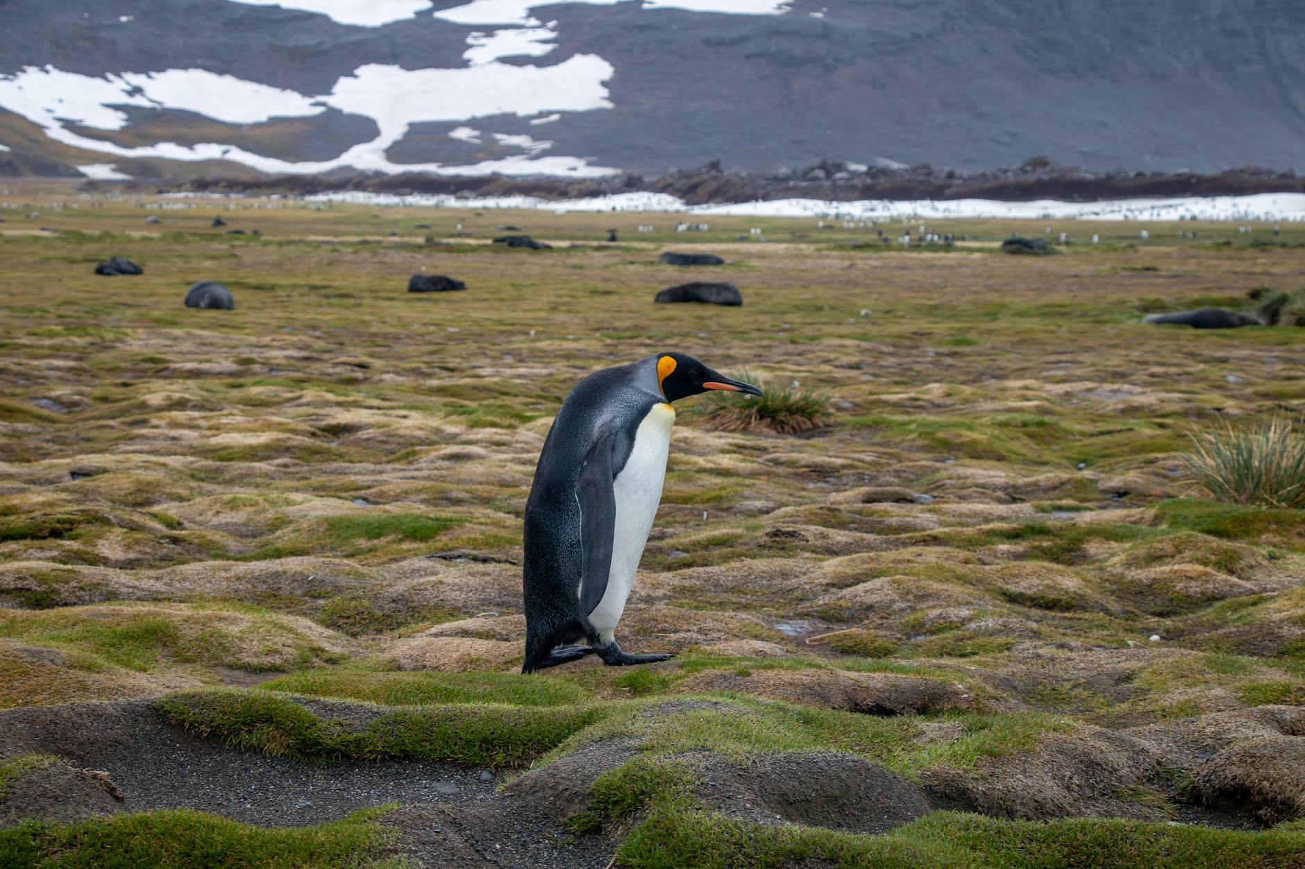 Visit Mario Zucchelli Station – Italy
