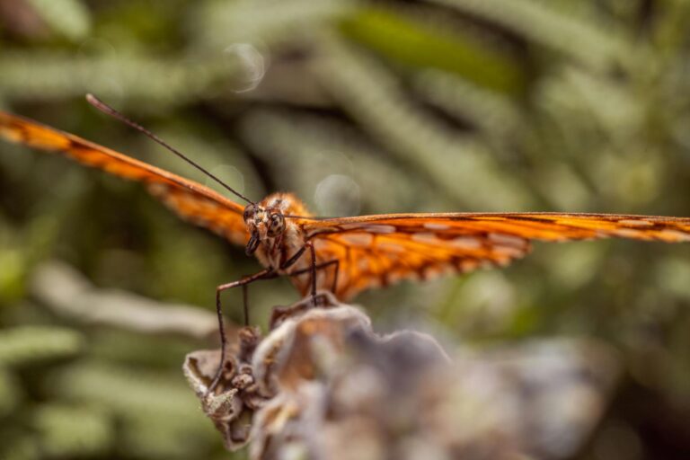 Visit Mexico City – Mexico