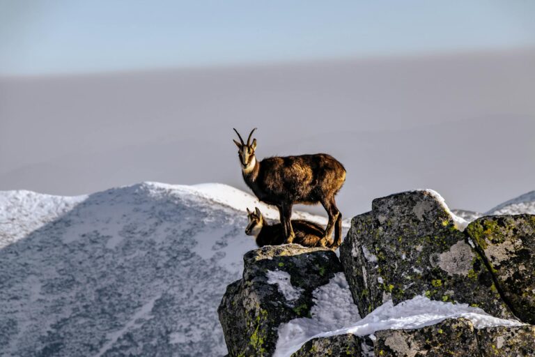 Visit Mutare–Zimbabwe