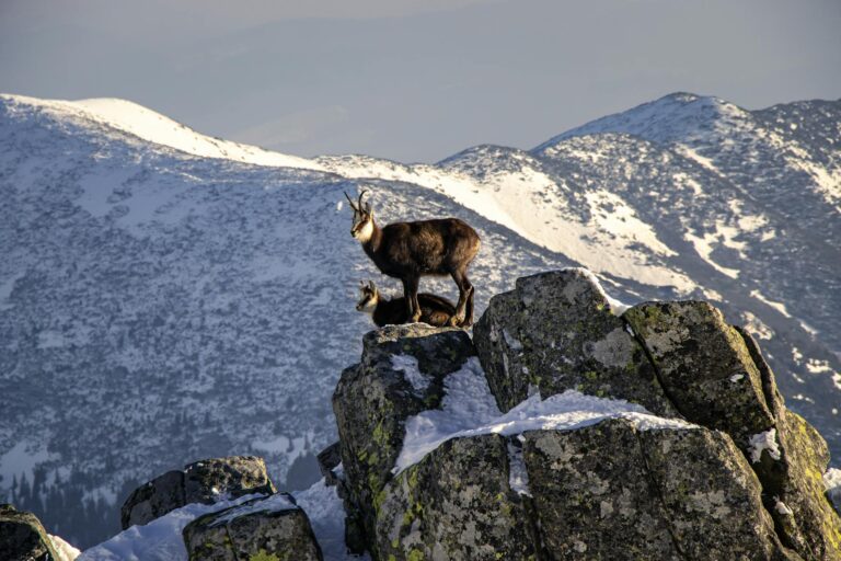 Visit Orcadas Base – Argentina