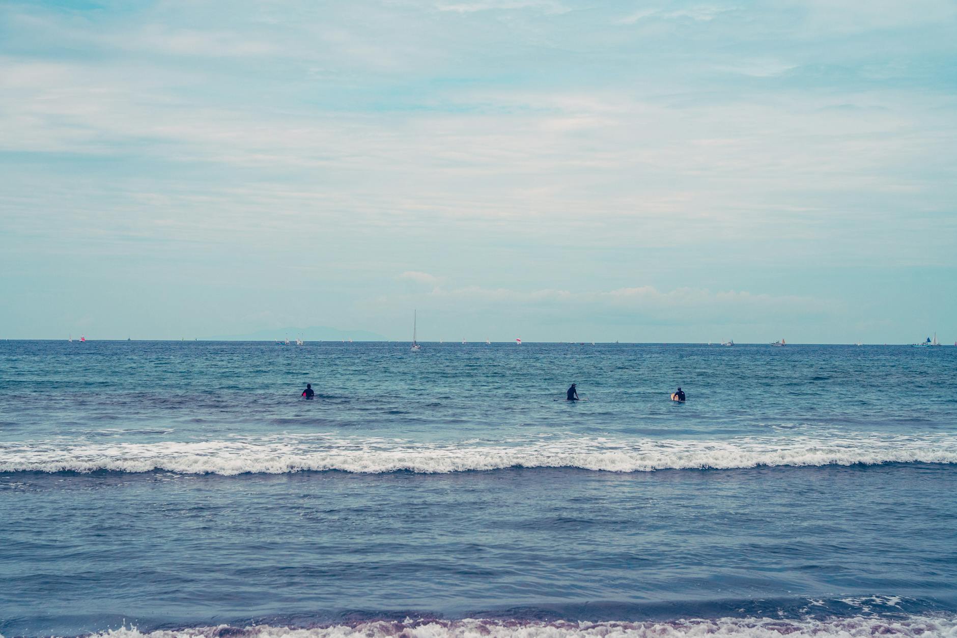 Don’t Leave Without Trying Ovos Moles